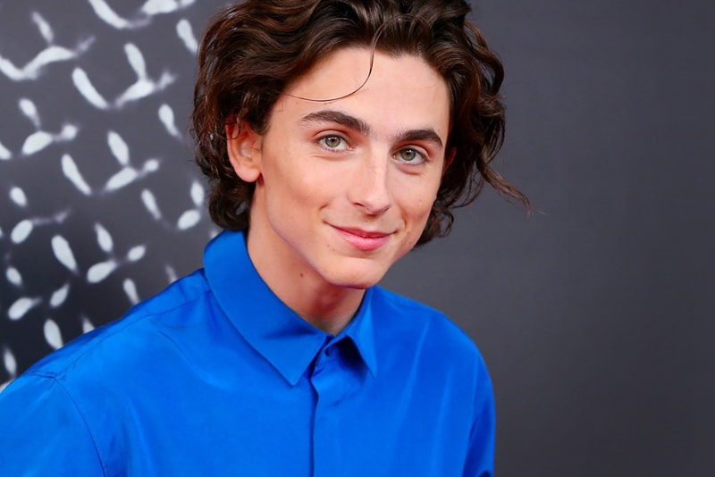 Timothée Chalamet Willy Wonka Warner Bros Actor