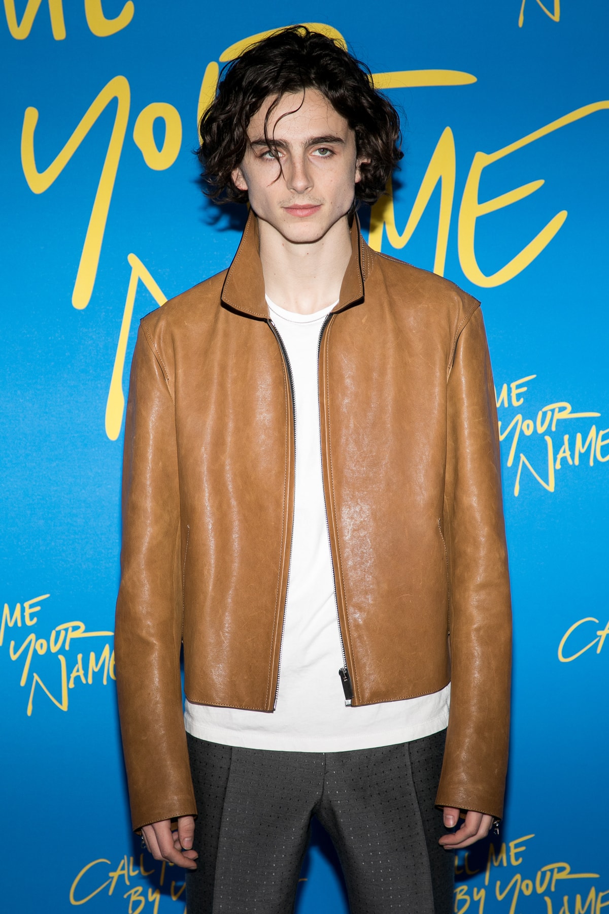 Timothee Chalamet Call Me By Your Name Premiere