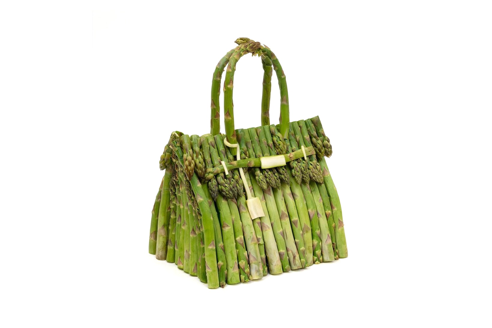 hermes vegetable birkin bags ben denzer asparagus art