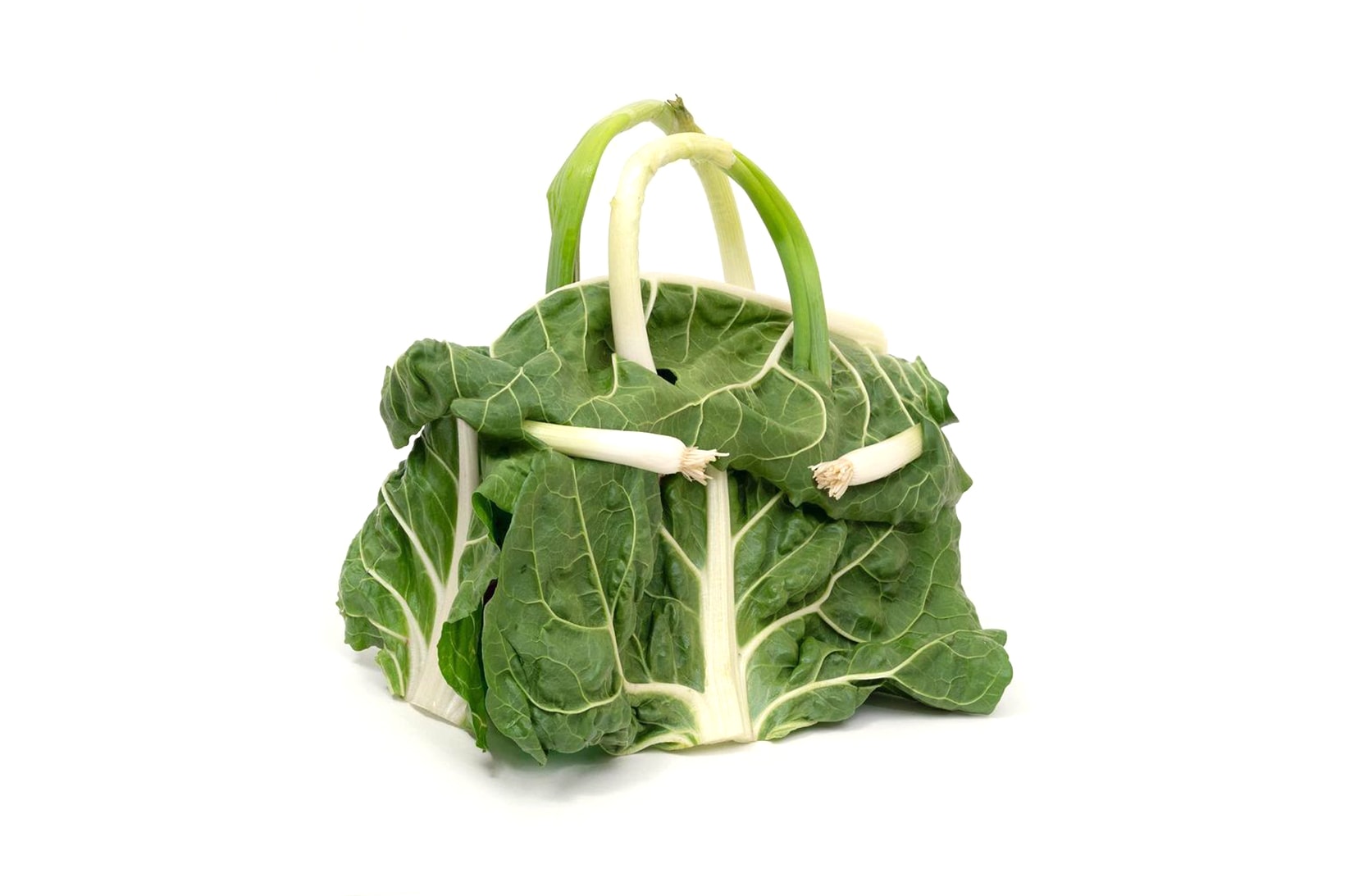 The new vegetable Hermes Birkin bag by artist Ben Denzer