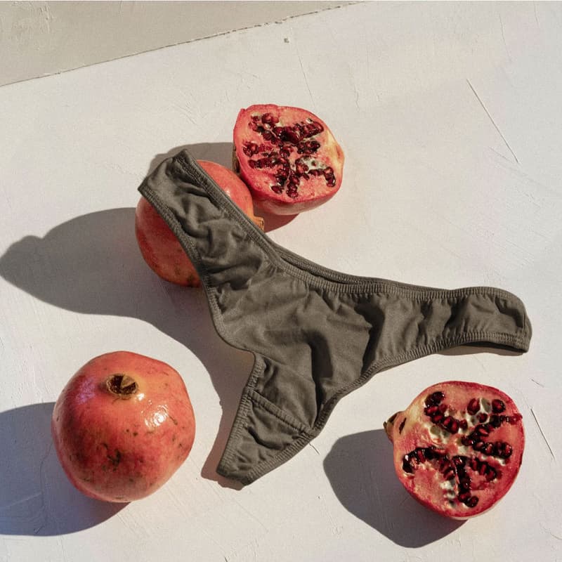 kent compostable underwear sustainability panties pomegranate fruits