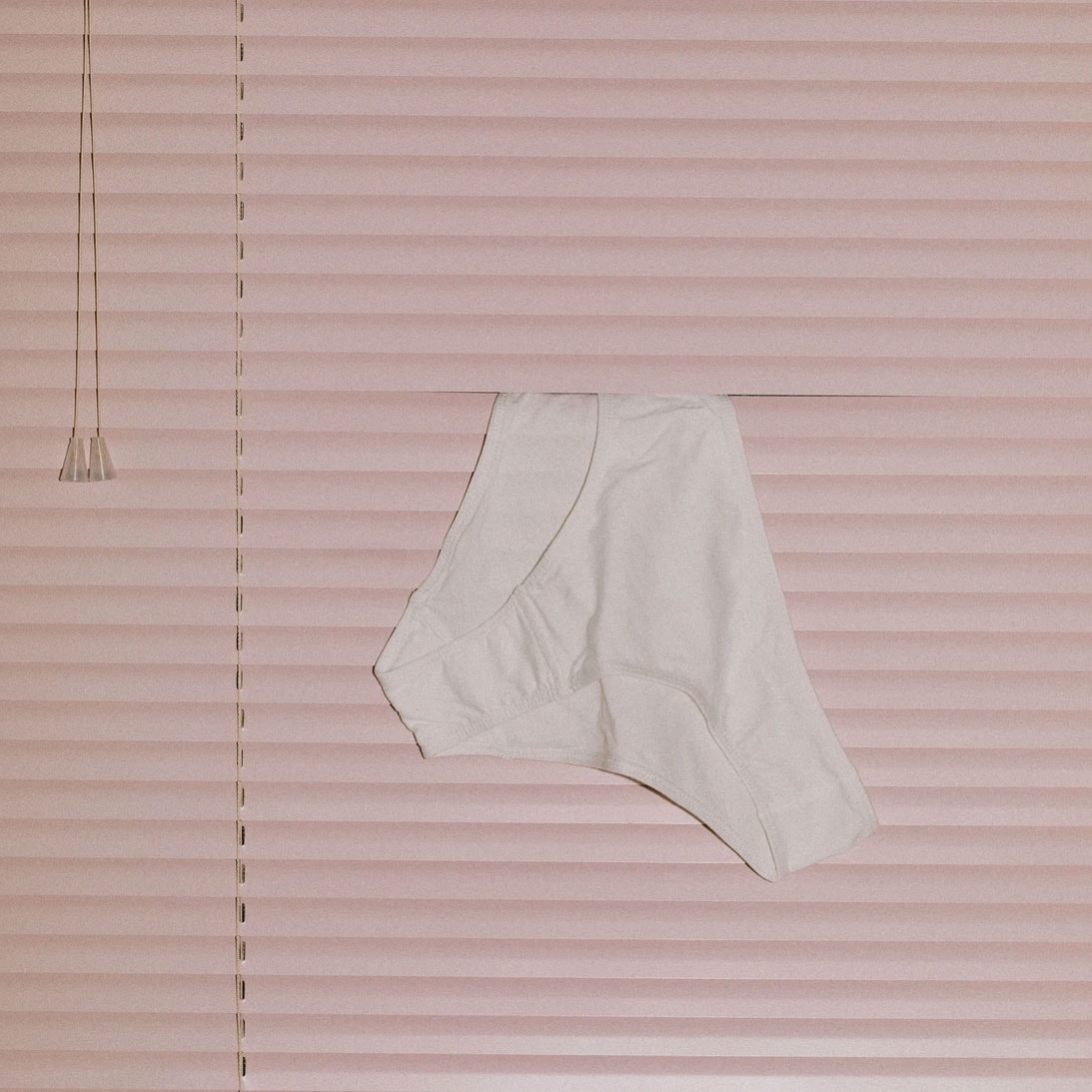 kent compostable underwear sustainability panties window blinds