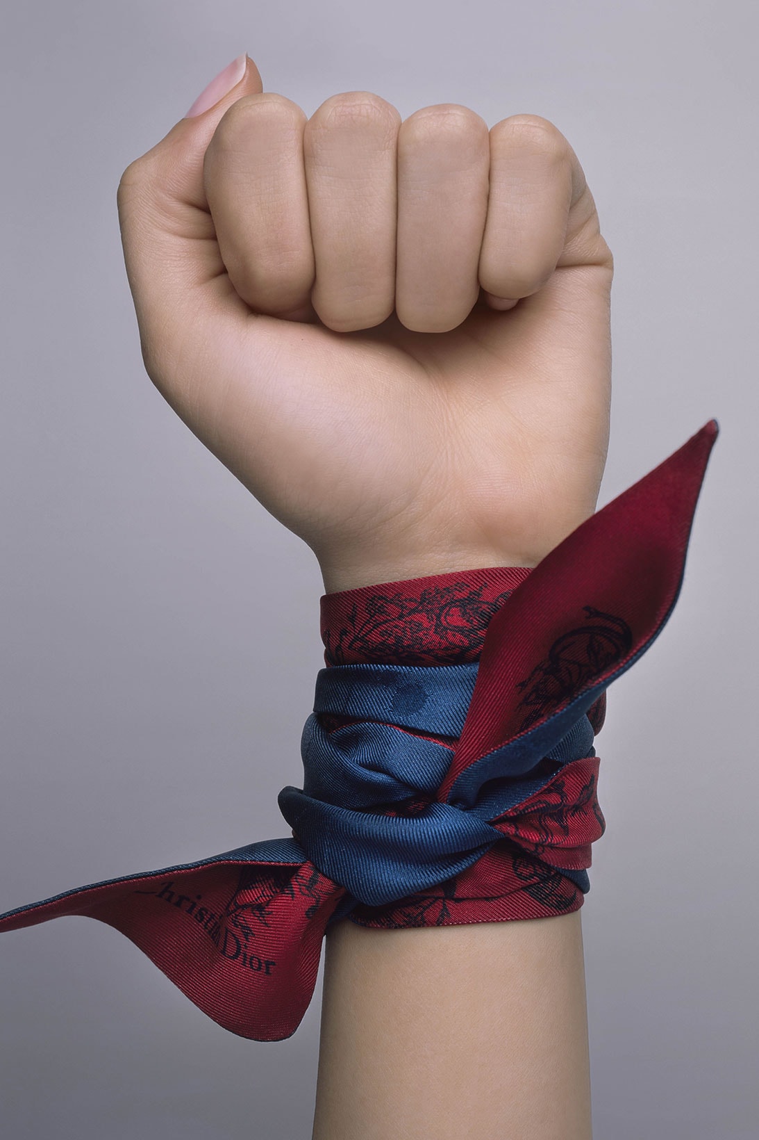 Dior Fall Winter 2021 Silk Scarves Hand Fist Wrist
