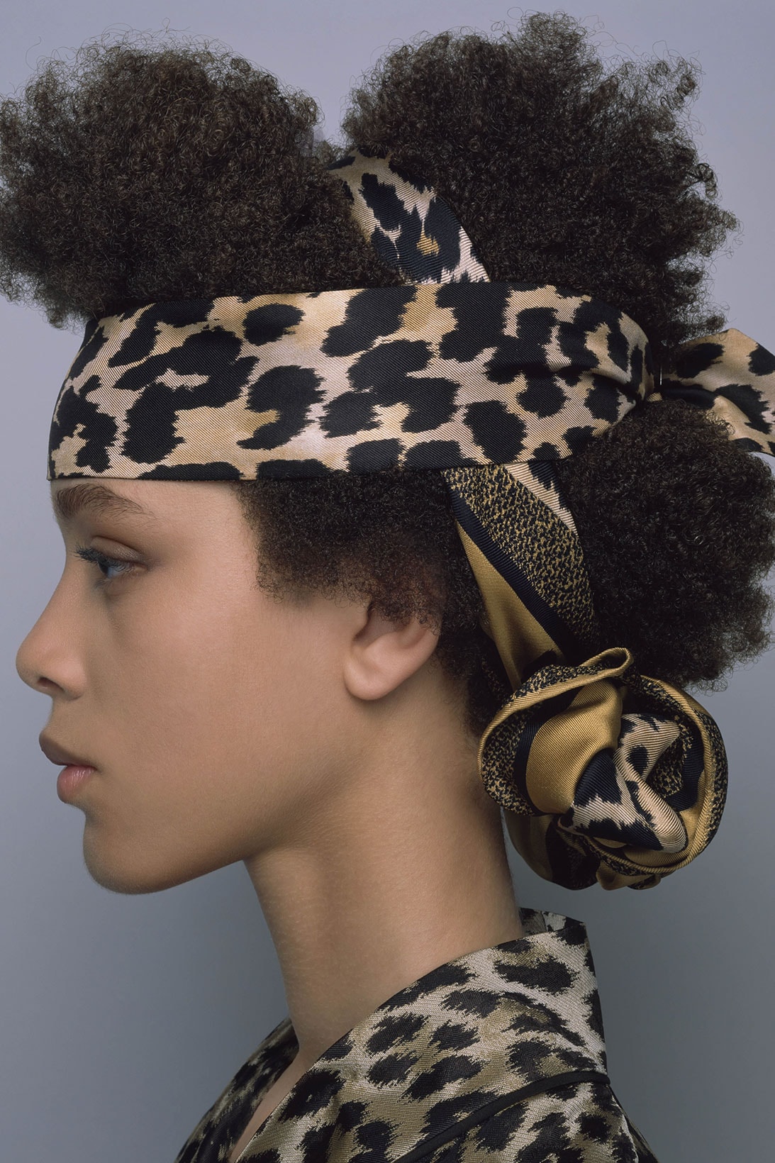 Dior Fall Winter 2021 Silk Scarves Animal Print Head
