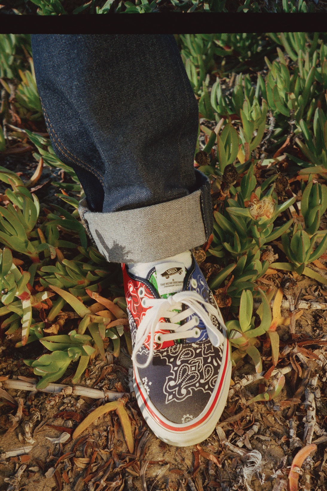 Vault by Vans Bedwin & The Heartbreakers Collaboration Authentic LX Blue Red