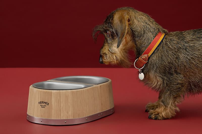 Hermes Dog Bowl Oak Wood Pets Accessories Puppy Collar