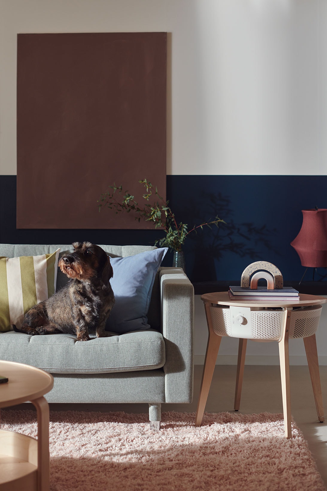 IKEA STARKVIND Smart Air Purifier Dog Couch Sofa Coffee Table