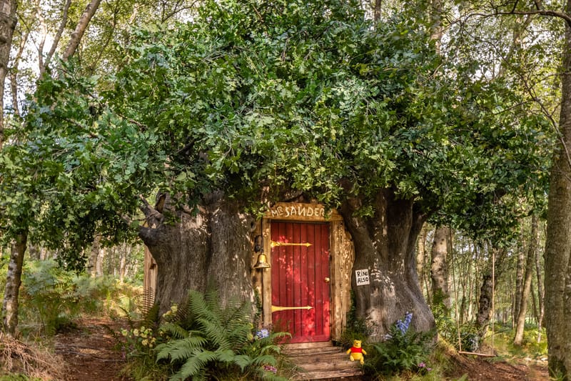 Explore the Hundred Acre Wood in This Winnie the Pooh-Themed Airbnb
