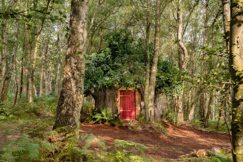 Disney x Airbnb Winnie the Pooh House exterior tree house red door mr.sanders