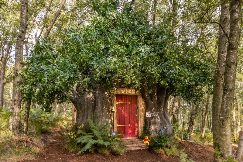 Disney x Airbnb Winnie the Pooh House exterior tree house red door mr.sanders