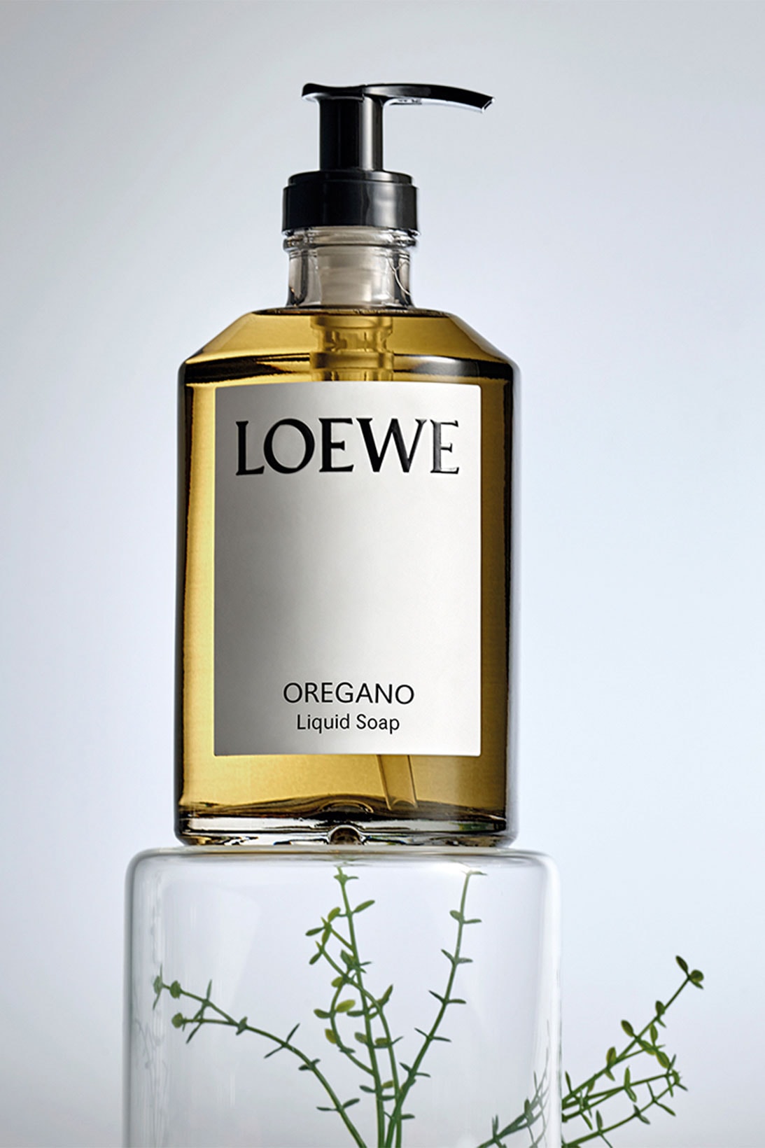 Loewe liquid soap Scent of Marihuana