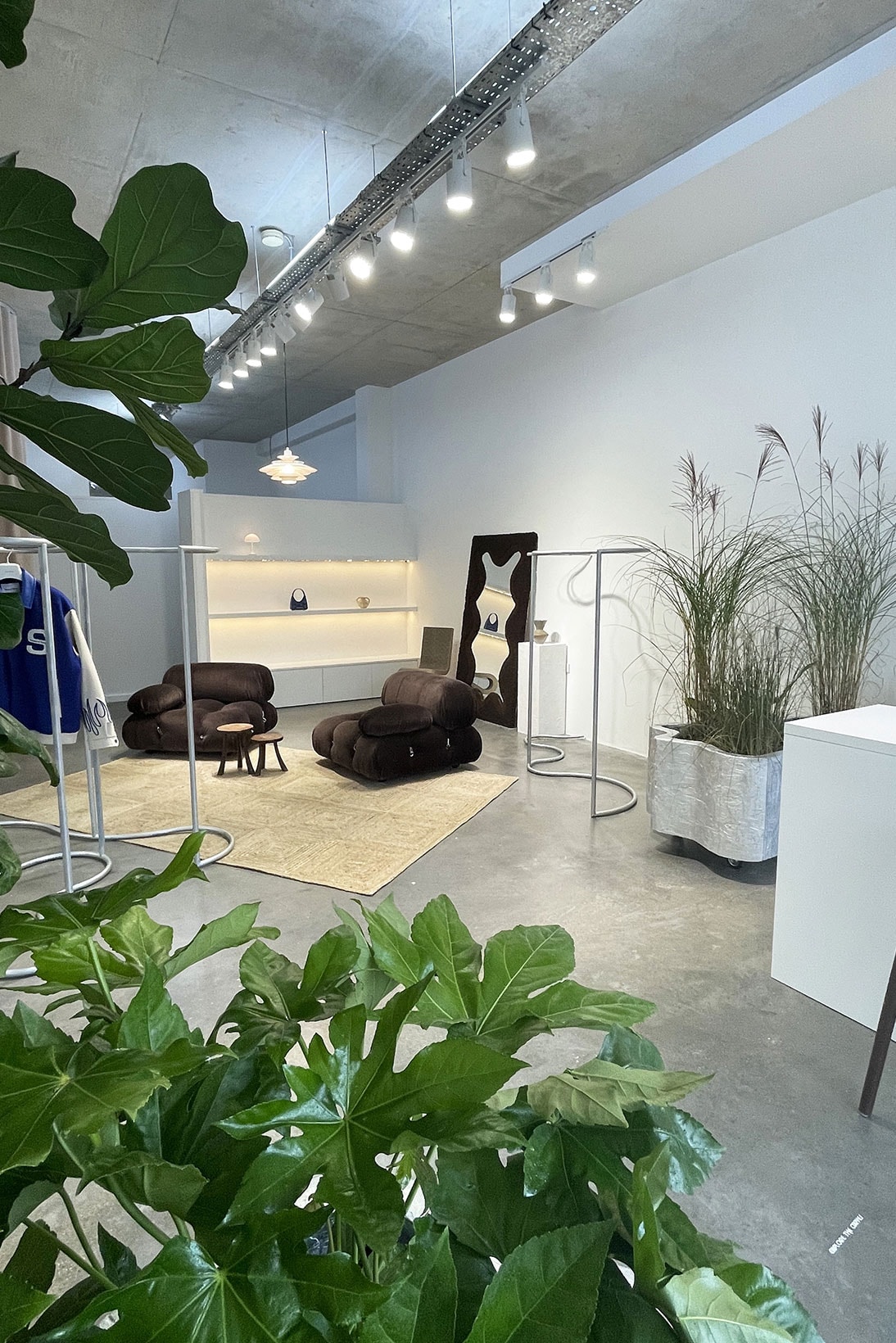 House of Sunny London Store Interior Plants