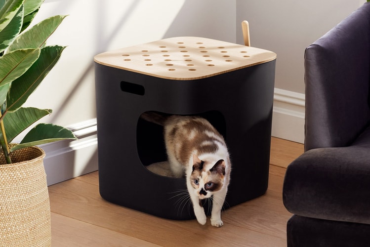 Jason Wu Curates a Collection of Feline Essentials With Cat Person