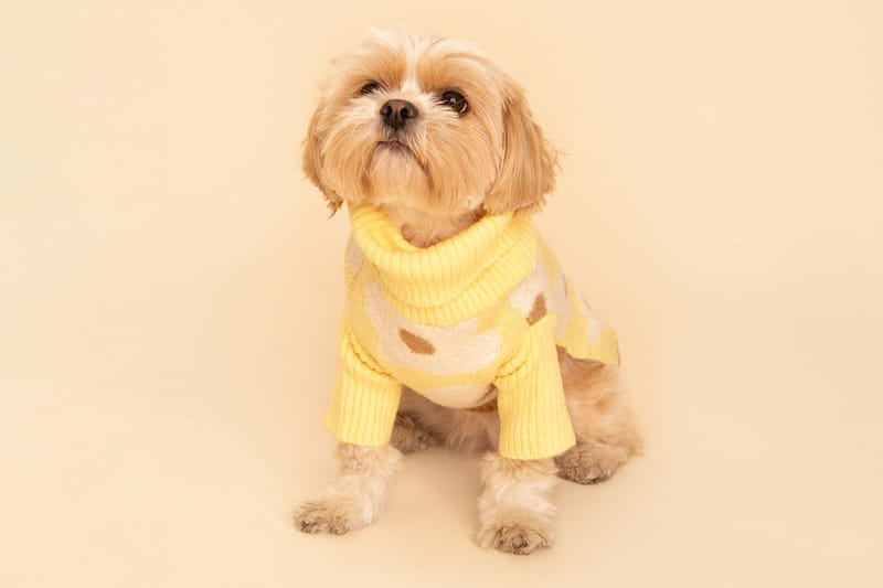 Update Your Fur Baby's Closet With Little Beast's Cozy Onesies