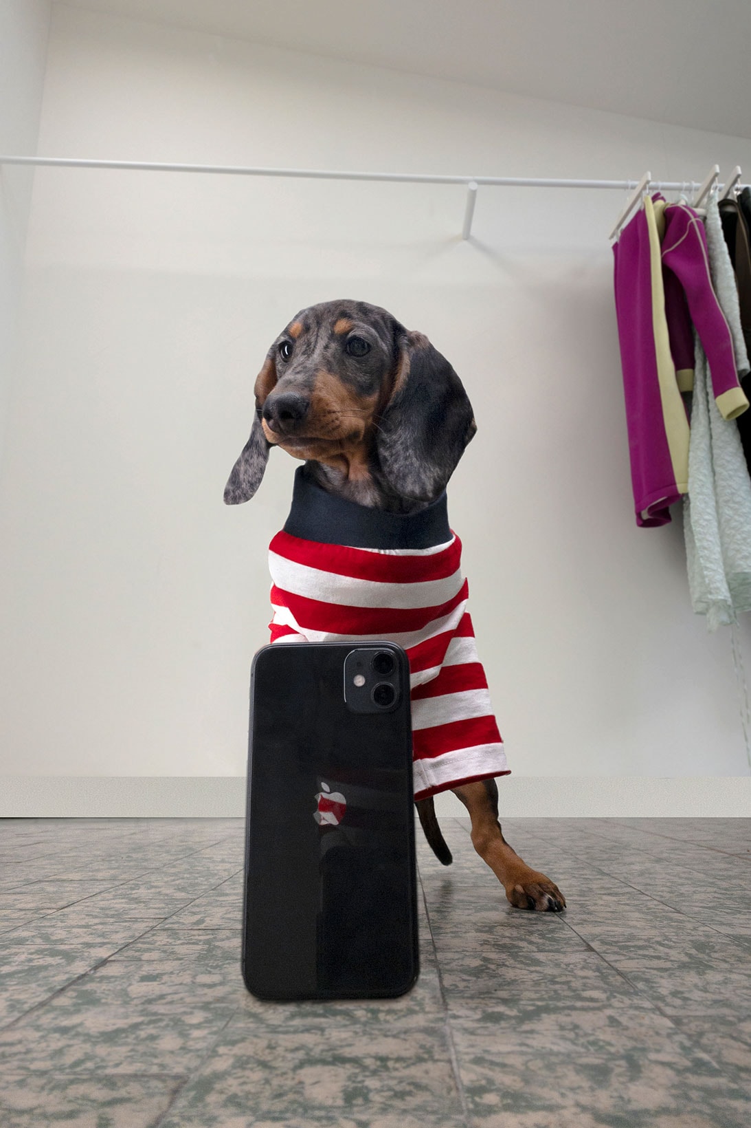 SUNNEI Pegs Dogwear Capsule Striped Tee iPhone selfie