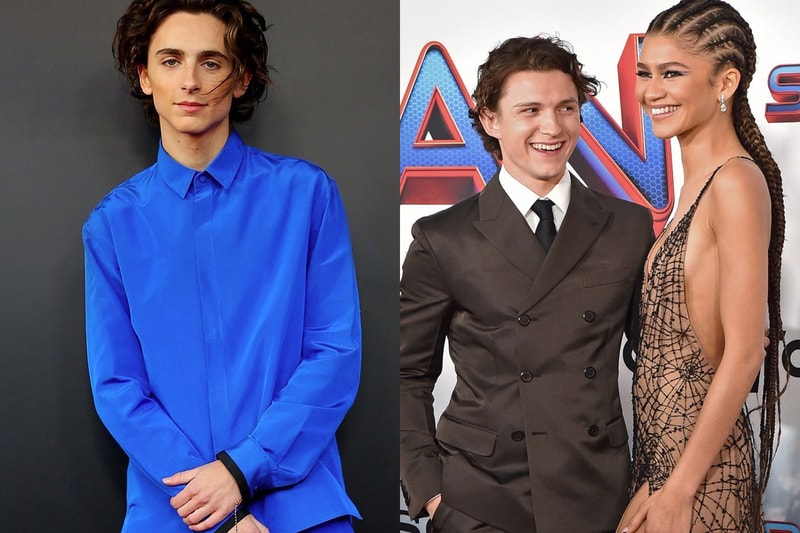 Timothee Chalamet Spider-Man Villain Zendaya Tom Holland Harry Osborn Interview