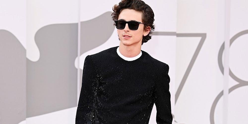 Timothée Chalamet and Haider Ackermann Charitable Hoodie: What to Know