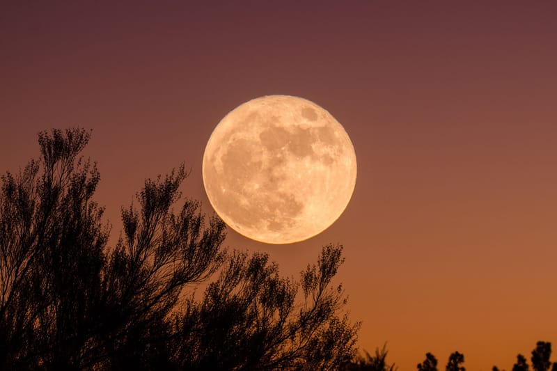 How, When and Where to Catch the First Full Moon of 2022