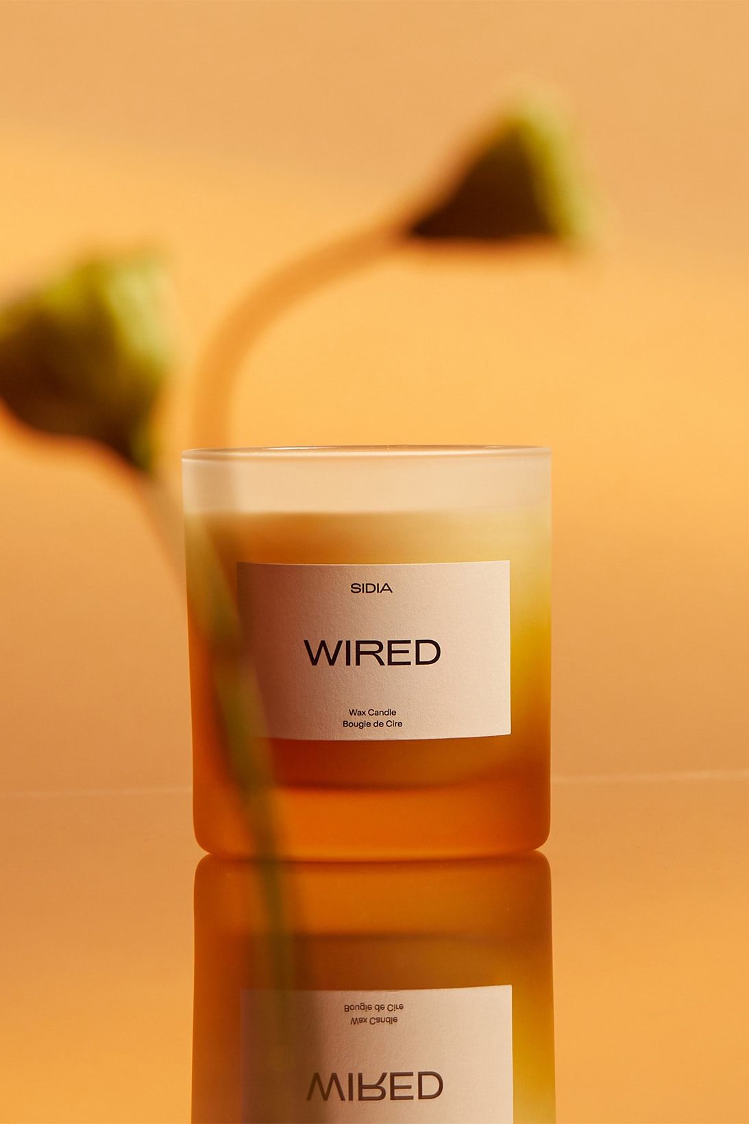 SIDIA Scented Candles Wired Lifestyle Home