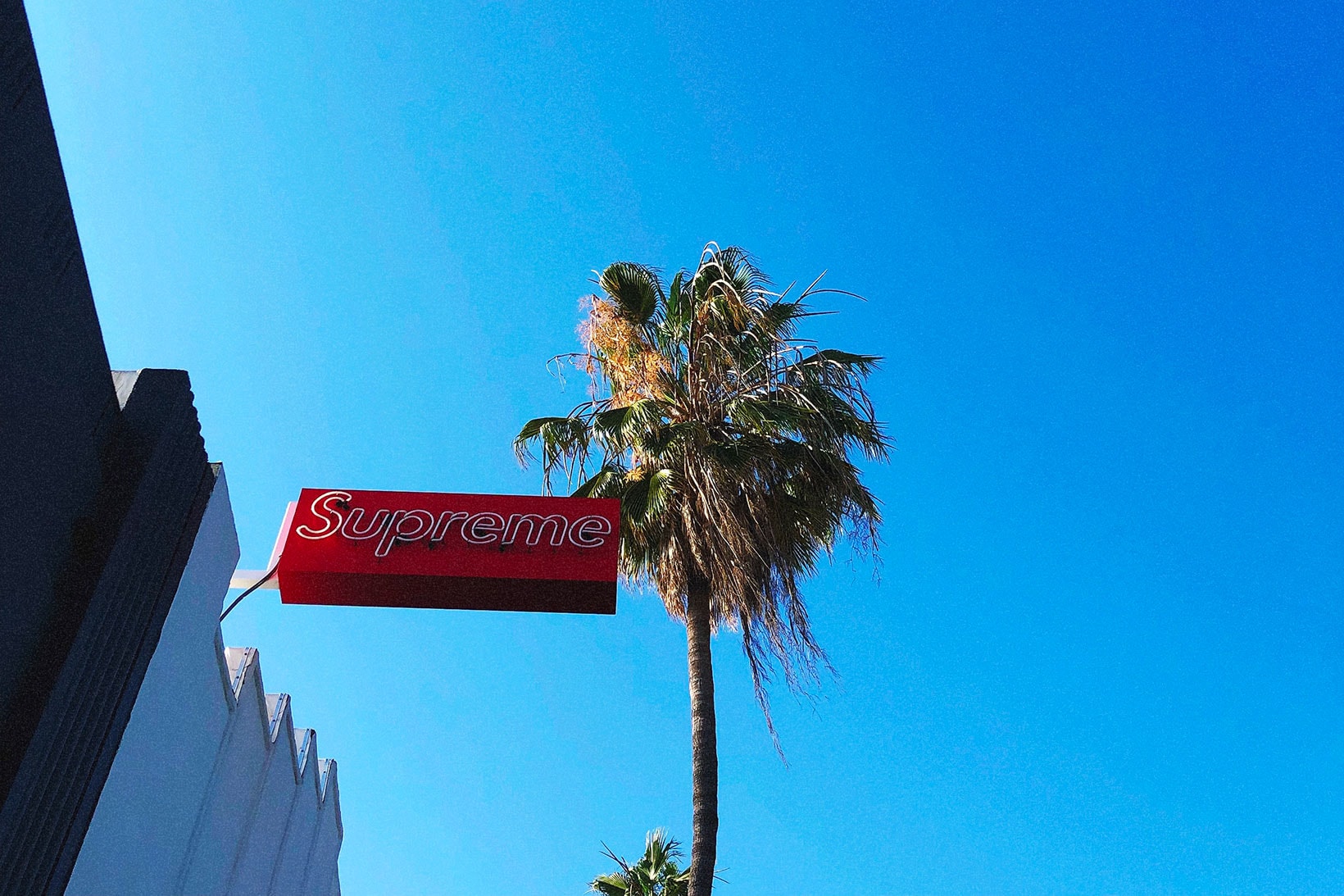 Supreme West Hollywood Store Opening Palm Tree Streetwear