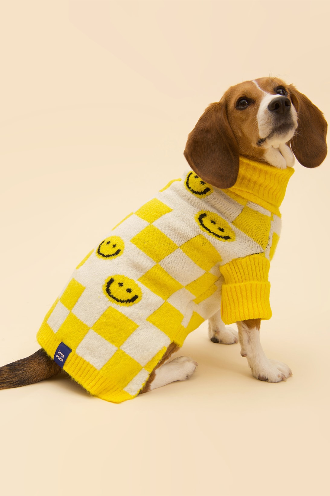 Little Beast New Winter Collection Dogs Lookbook Sweaters Socks The Smiley Sweater
