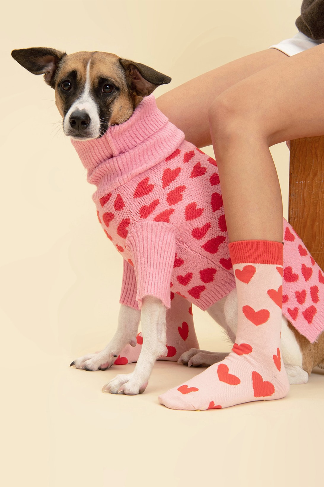 Little Beast New Winter Collection Dogs Lookbook Sweaters Socks The Love Sweater Details