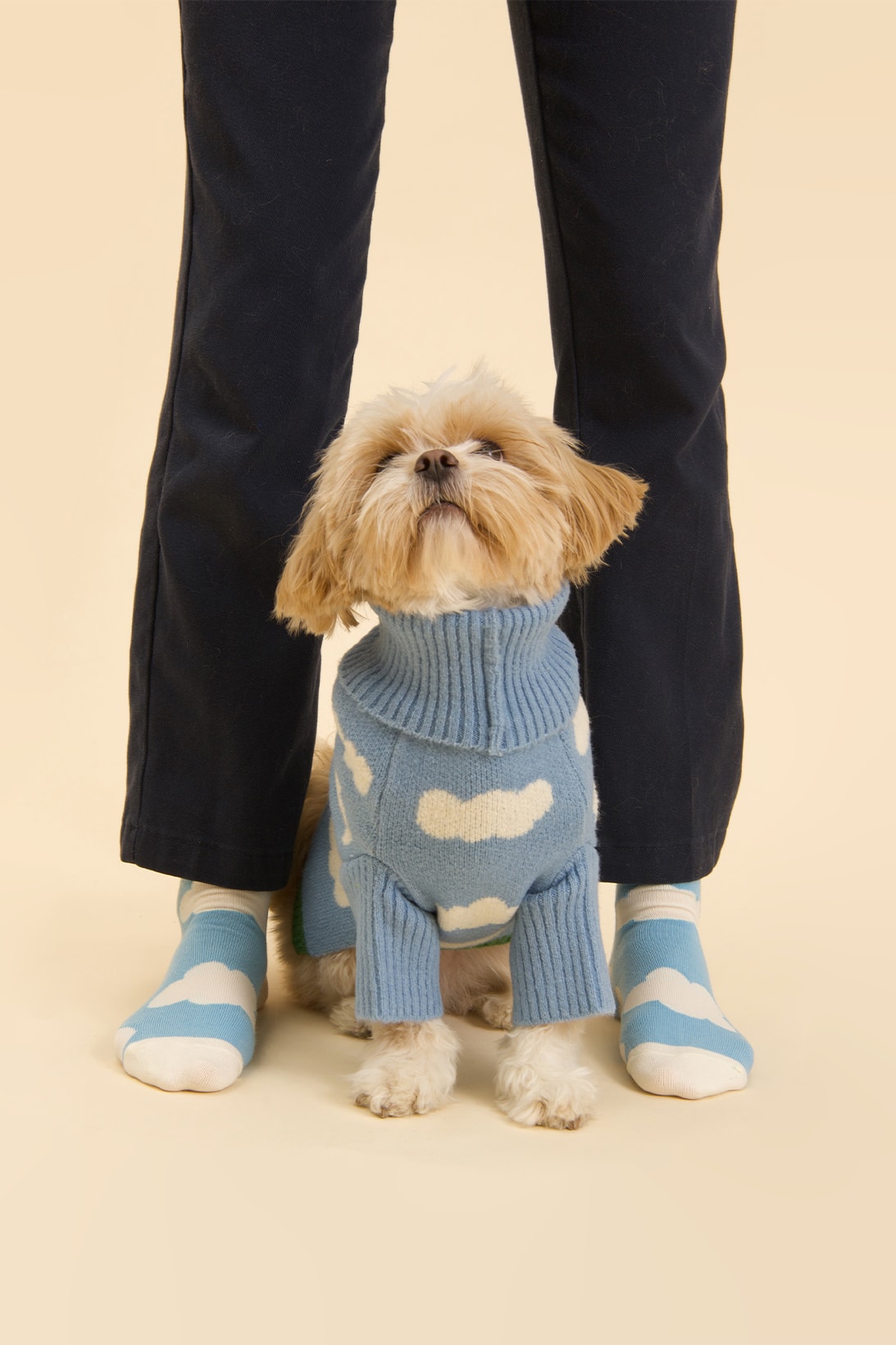Little Beast New Winter Collection Dogs Lookbook Sweaters Socks Blue