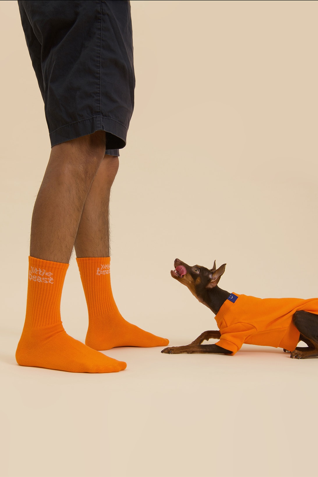 Little Beast New Winter Collection Dogs Lookbook Sweaters Socks Orange