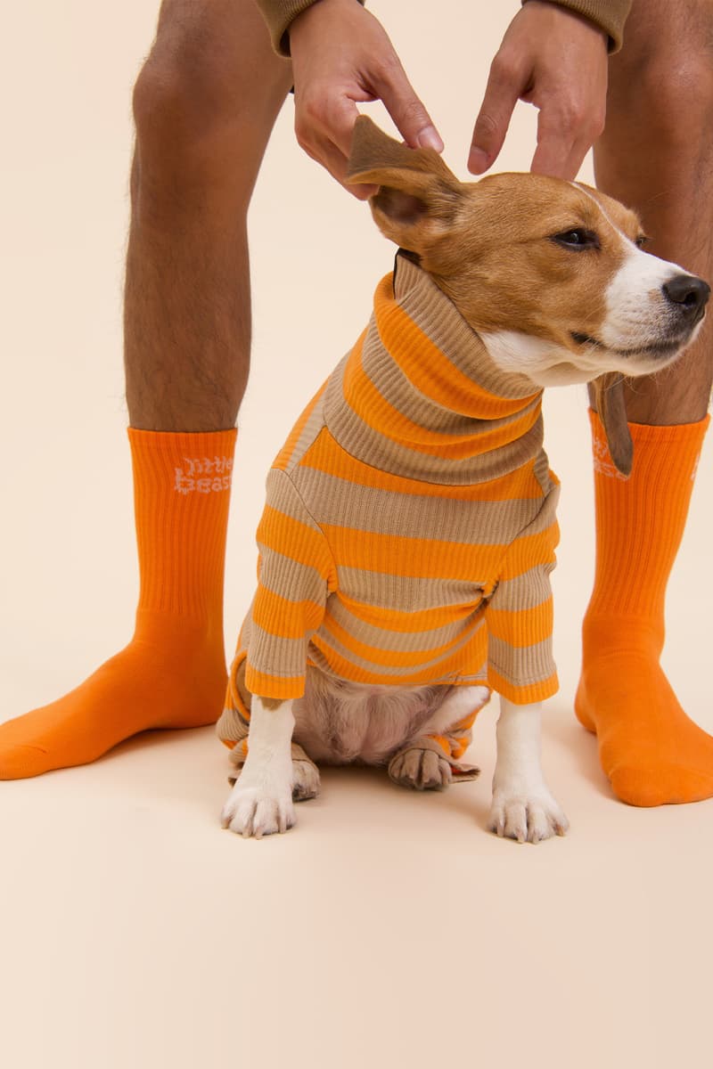 Little Beast New Winter Collection Dogs Lookbook sweaters Saikuru Socks Striped Orange