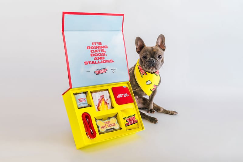 Megan Thee Stallion Celebrates New Snapchat Show With an Exclusive Giveaway