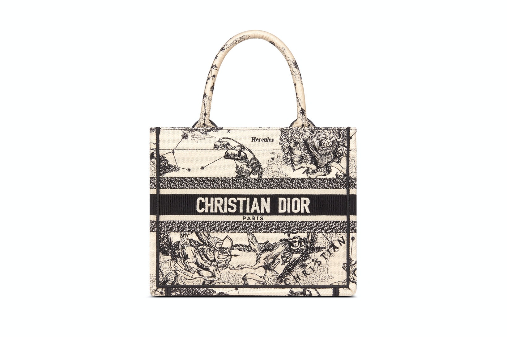 Dior Small Book Tote  Dior's Hottest Bag Just Got SMALLER *luxury bag  reveal* 