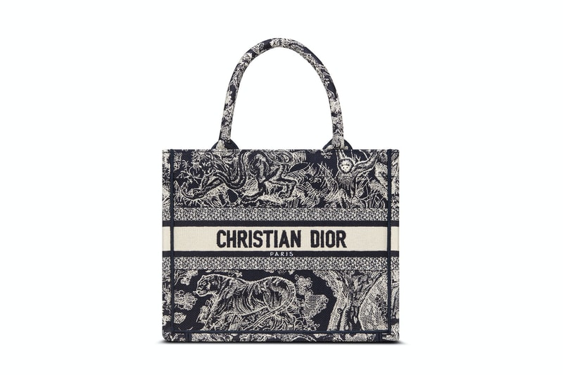 Dior Debuts Small Version of Book Tote Bag