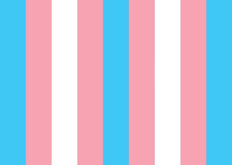 transgender day of visibility lgbtq+ queer 