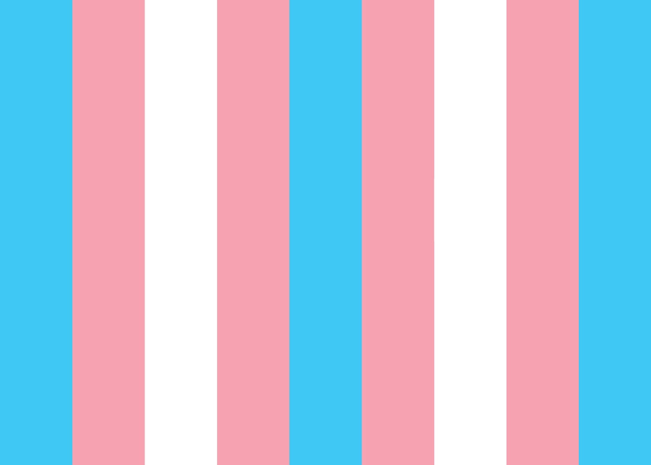 transgender day of visibility lgbtq+ queer 