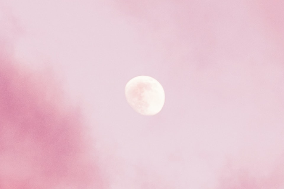April Full Moon Tarot Reading For Zodiac Signs | HYPEBAE