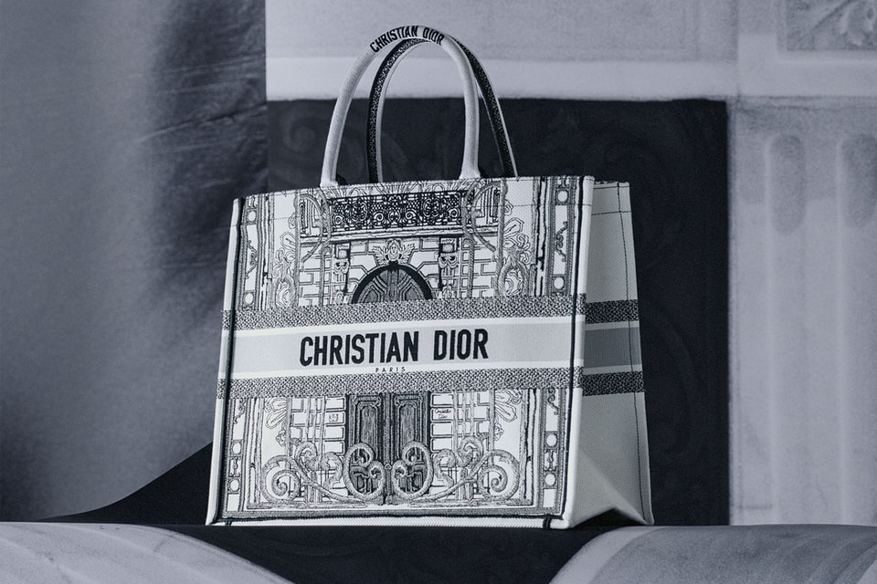 New Dior Limited Edition Orange Book Tote Bag