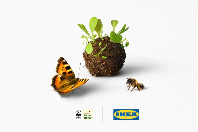 IKEA Meatballs for Insects WWF Swedish Seedballs Endangered Plants Denmark Release Info