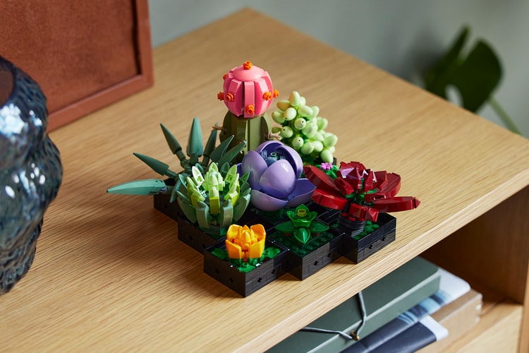 Add Some Green to Your Home With These LEGO Orchids and Succulents