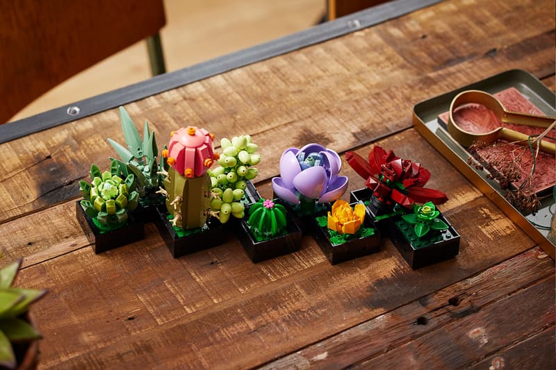 LEGO Botanical Orchids Succulents Plants Release Price