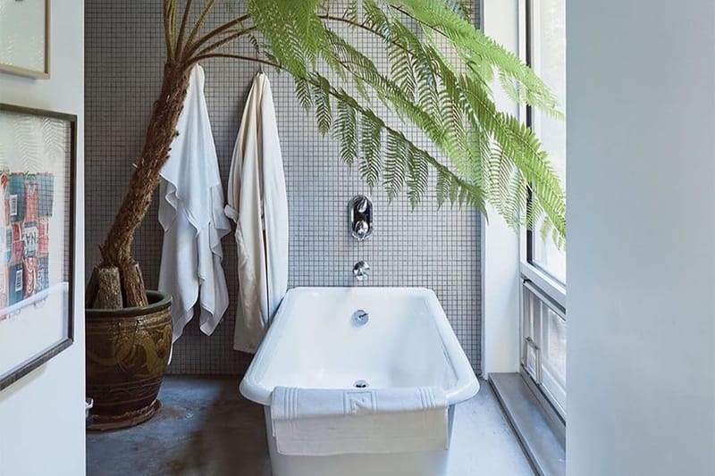 Simplify Your Shower Ritual With These 5 Sustainable and Refillable Products