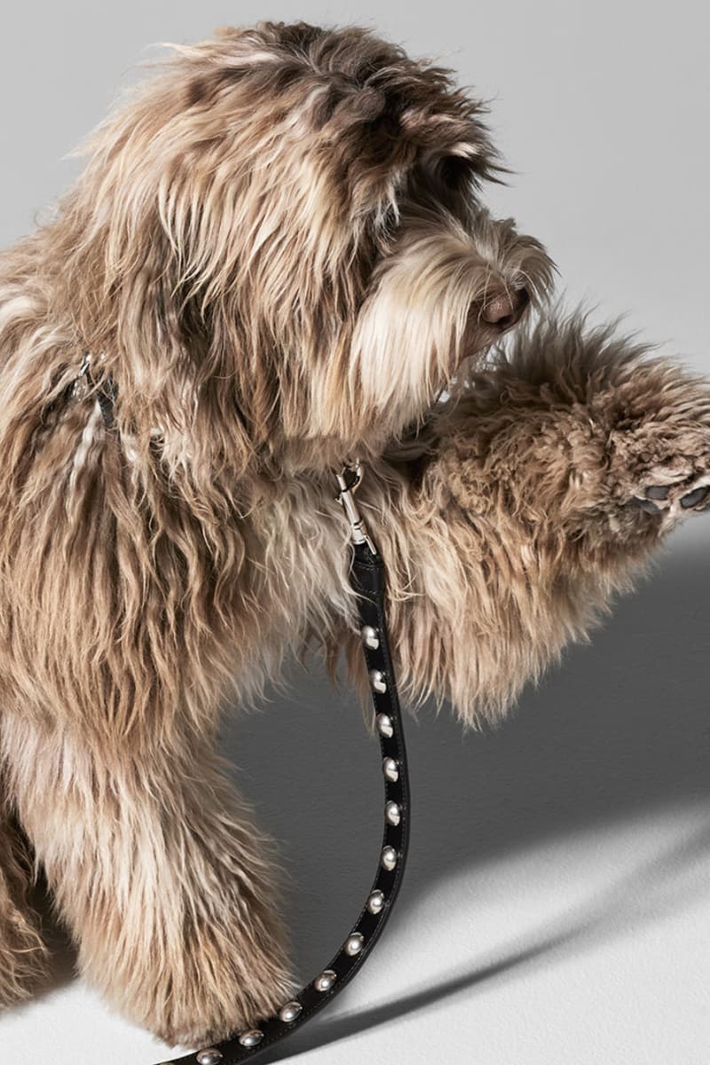 Celine Saddlery Dog Accessories Bowls Leads Elvis Collection Lookbook