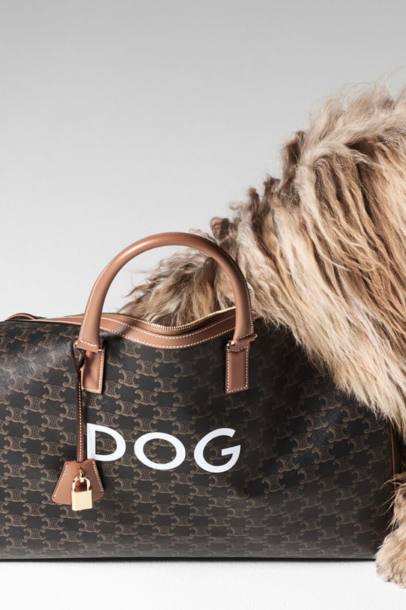 Celine Saddlery Dog Accessories Bowls Leads Elvis Collection Lookbook