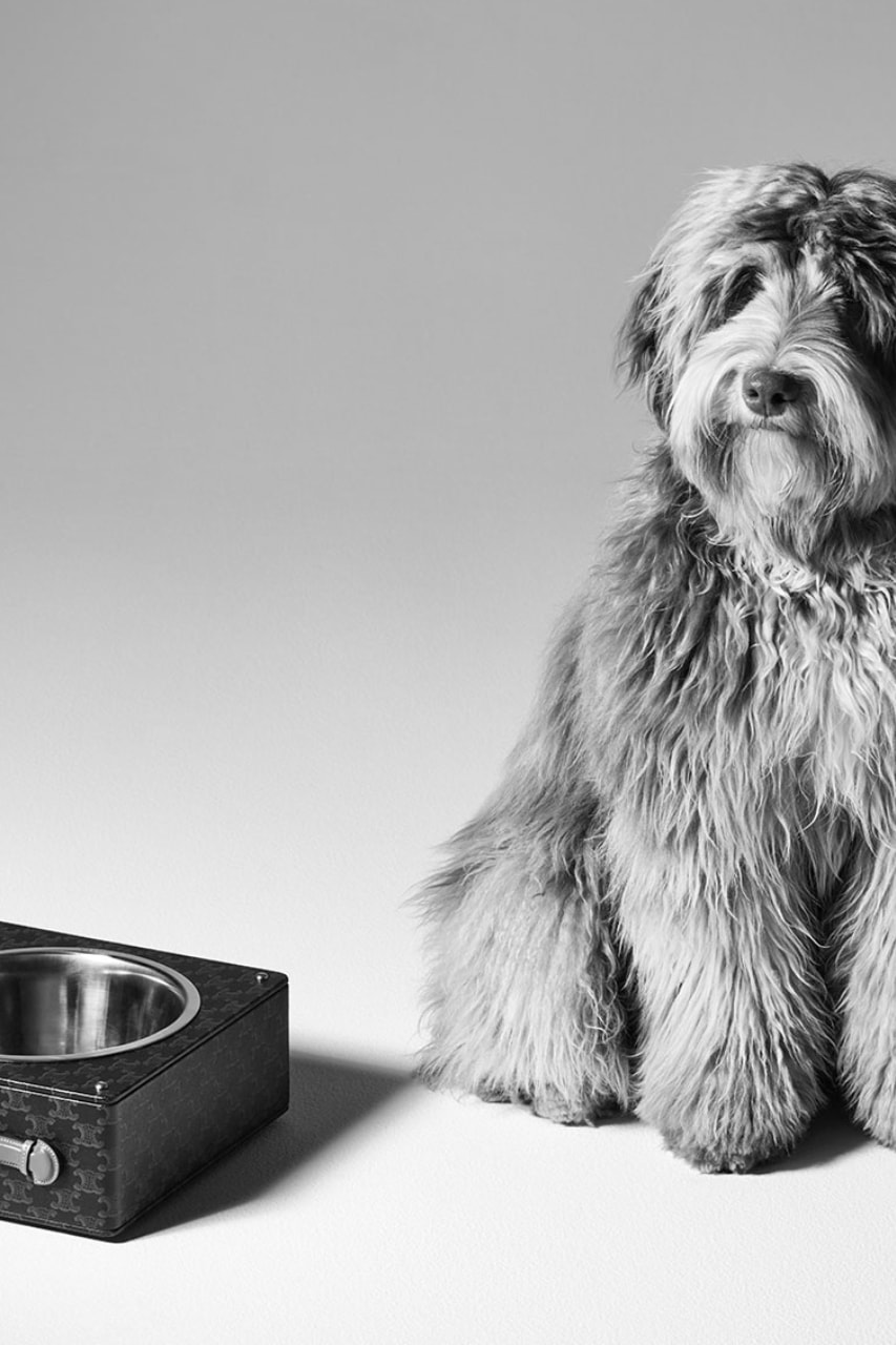 Celine Saddlery Dog Accessories Bowls Leads Elvis Collection Lookbook