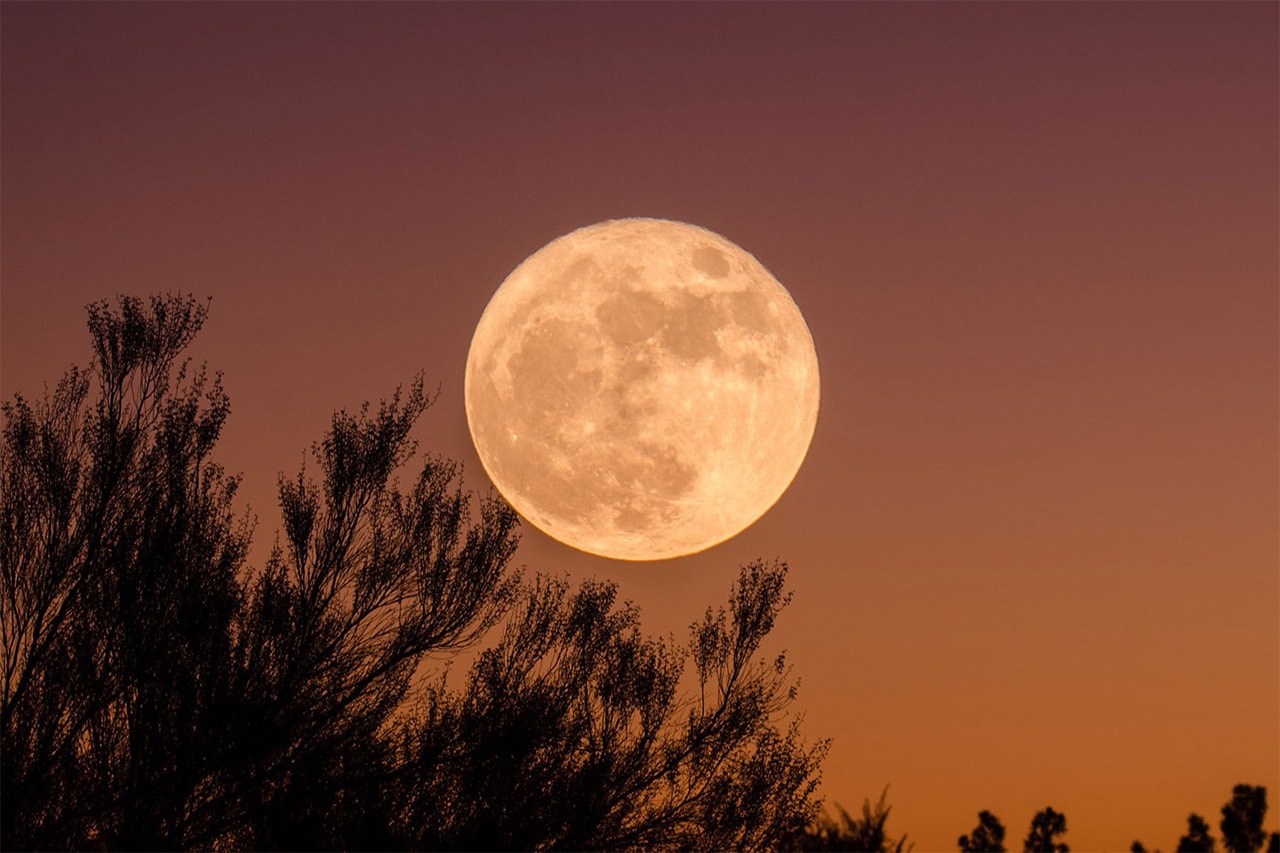 may full moon scorpio lunar eclipse horoscope astrology zodiac signs