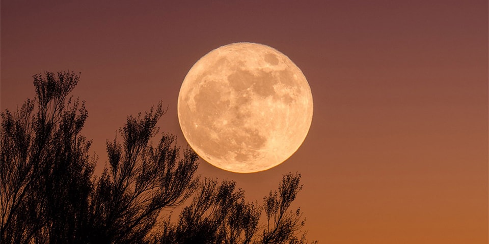 May Full Moon Lunar Eclipse: Here's Your Horoscope | HYPEBAE