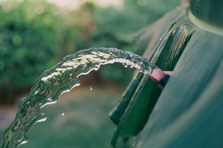 This Couple Combines Nature and BDSM for Sexual Pleasure