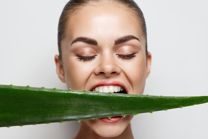 Aloe Vera Plant sunburn sunscreen spf