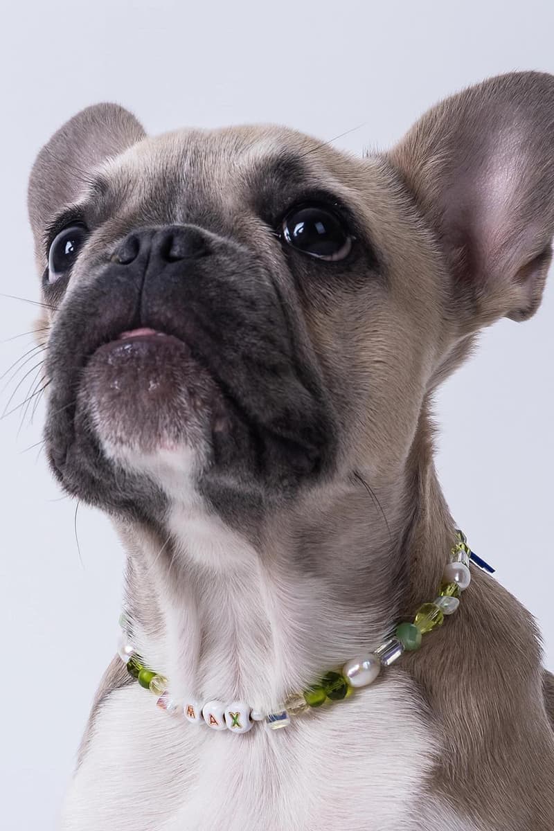 laēlap New York Dog Accessories Brand Pets Necklace Jewelry 