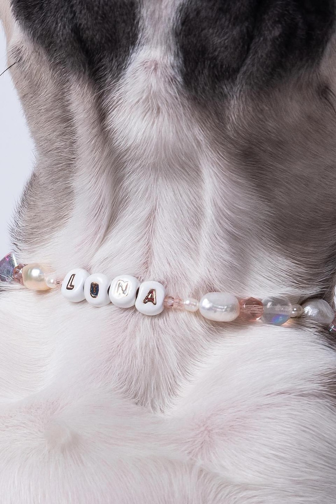 laēlap New York Dog Accessories Brand Pets Necklace Jewelry 