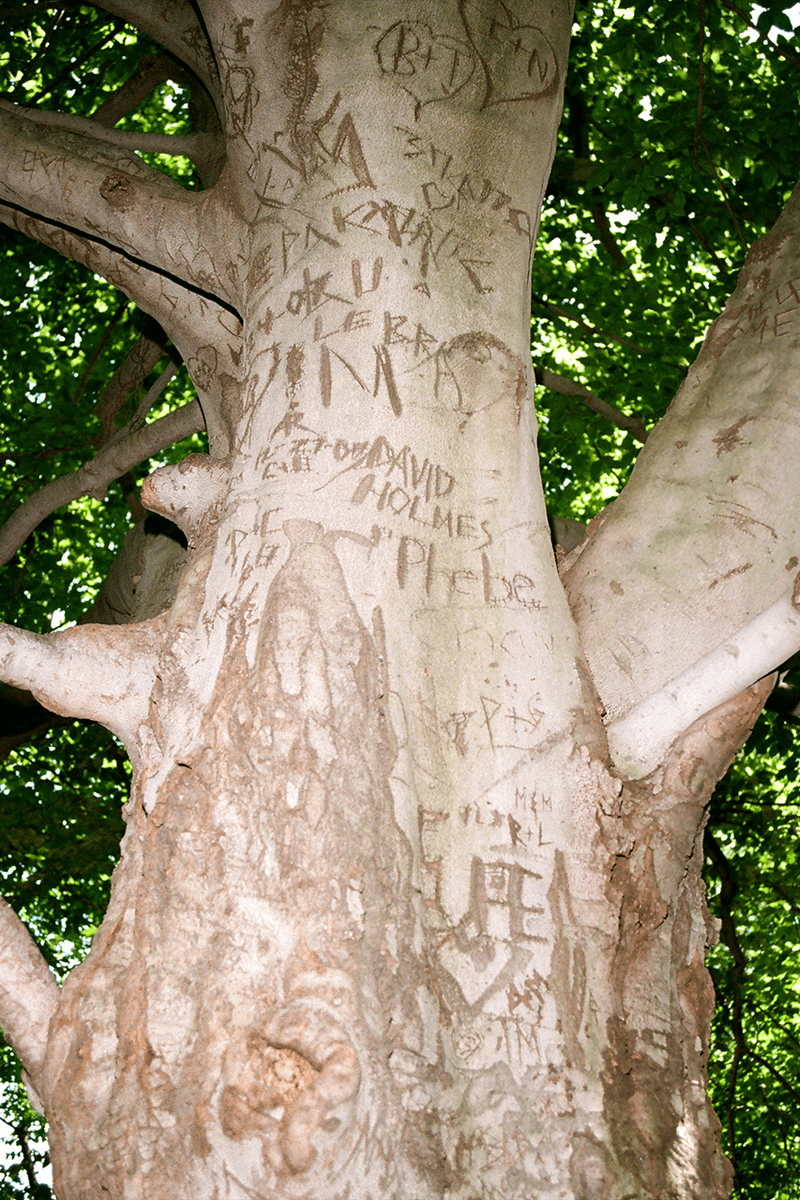 Carhartt WIP X Small Talk Studio